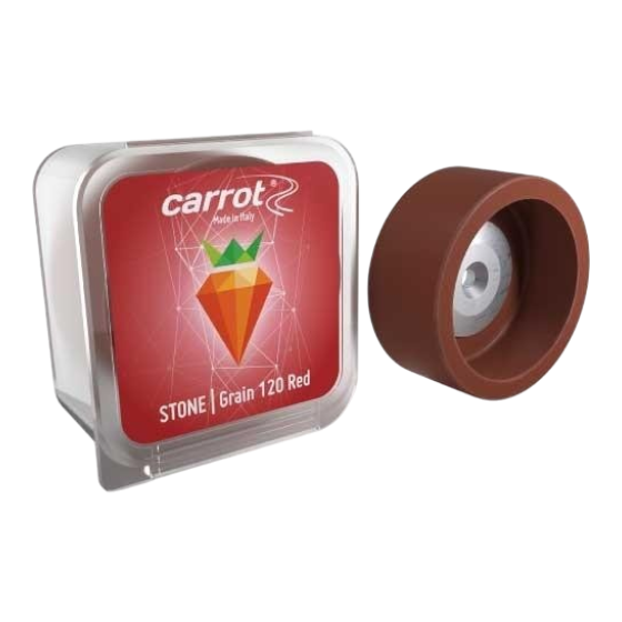 Carrot by Comax - Carrot Slipsten #120 - 1003-M120 - Skidvalla.se