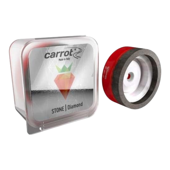 Carrot by Comax - Carrot Slipsten Diamant - 1008-MCR - Skidvalla.se