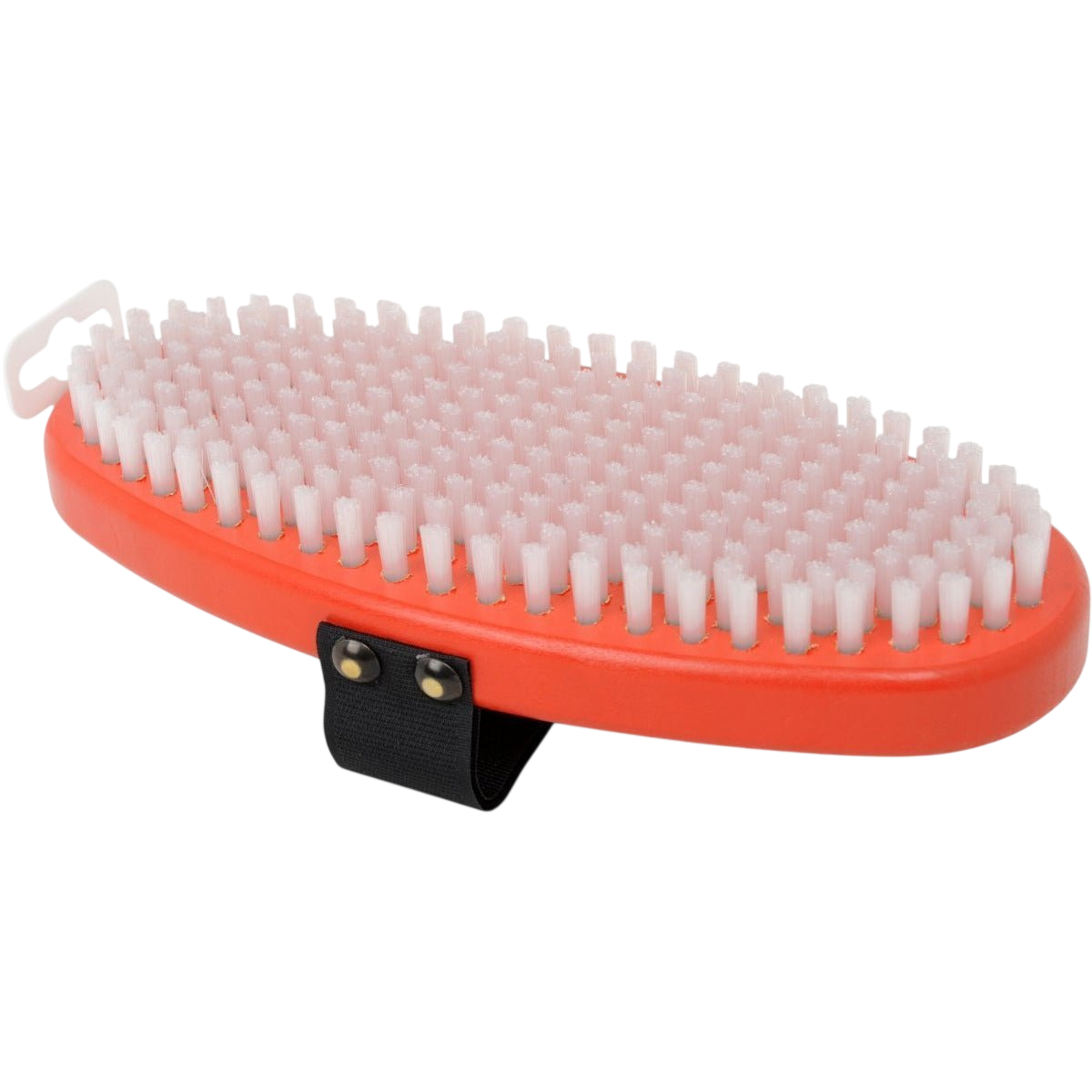 Swix - Swix Oval Nylonborste - T0161O - Skidvalla.se