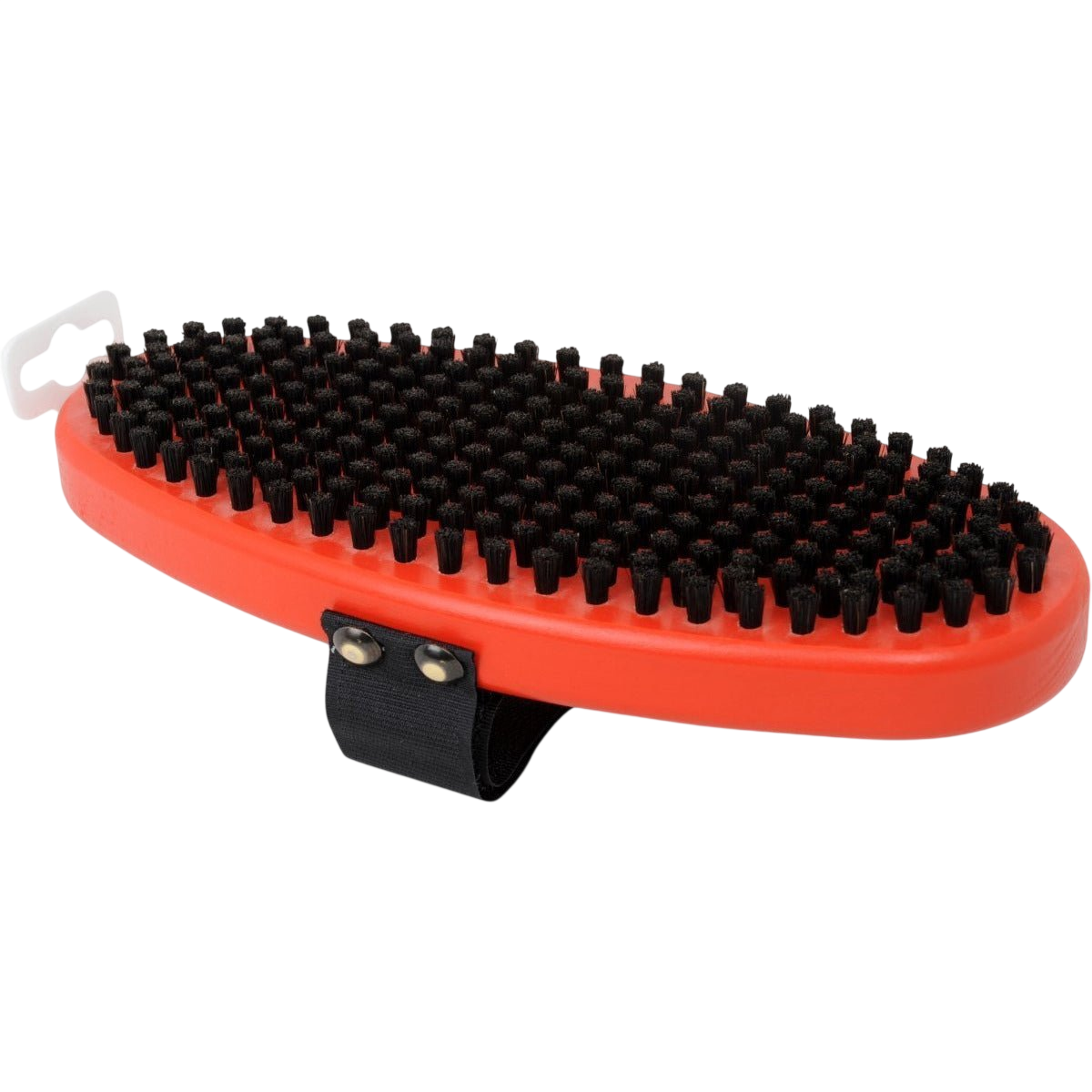 Swix - Swix Oval Tagelborste - T0157O - Skidvalla.se