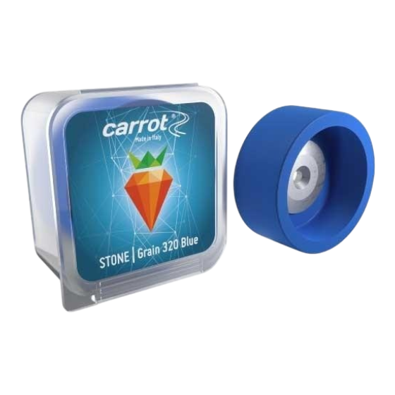Carrot by Comax - Carrot Slipsten #320 - 1005-M320 - Skidvalla.se