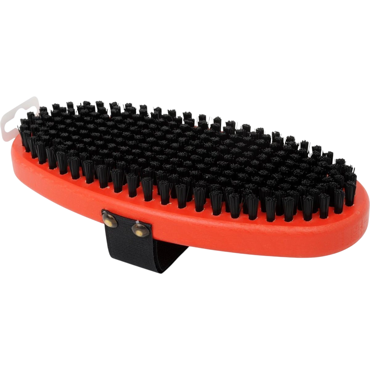 Swix - Swix Oval Styv Nylonborste - T0194O - Skidvalla.se