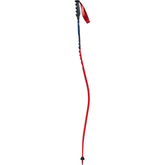 Swix - Swix WC Pro DH Carbon Stav - AC125-00-1100 - Skidvalla.se