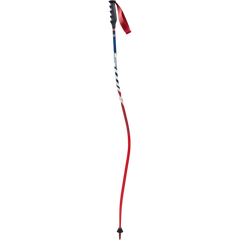 Swix - Swix WC Pro DH Carbon Stav - AC125-00-1100 - Skidvalla.se