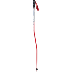 Swix - Swix WC Pro SG Carbon Stav - AC115-00-1150 - Skidvalla.se
